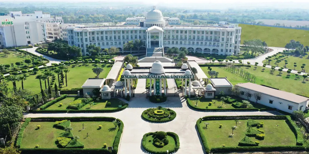 Noida International University Online Campus